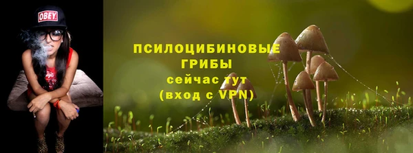 a pvp Армянск