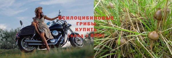 марки lsd Арсеньев